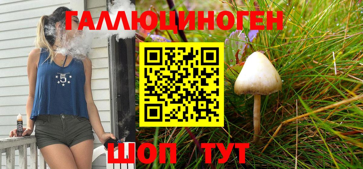 Галлюциногенные грибы MAGIC MUSHROOMS  Вход с VPN  Ангарск 